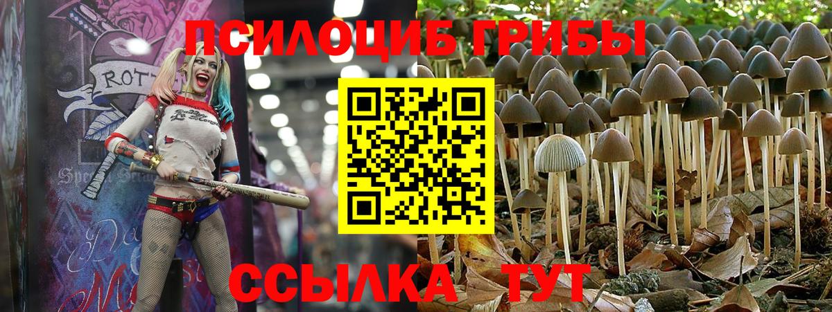 Галлюциногенные грибы GOLDEN TEACHER Кудымкар